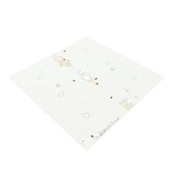 Modul-P046-M-CC-G-2.jpg