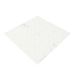 Modul-L315-M-CC-S-2.jpg