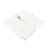 Modul-P031-M-CV-G-2.jpg
