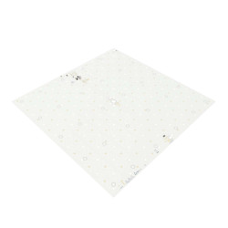 Modul-L315-M-CV-S-2.jpg
